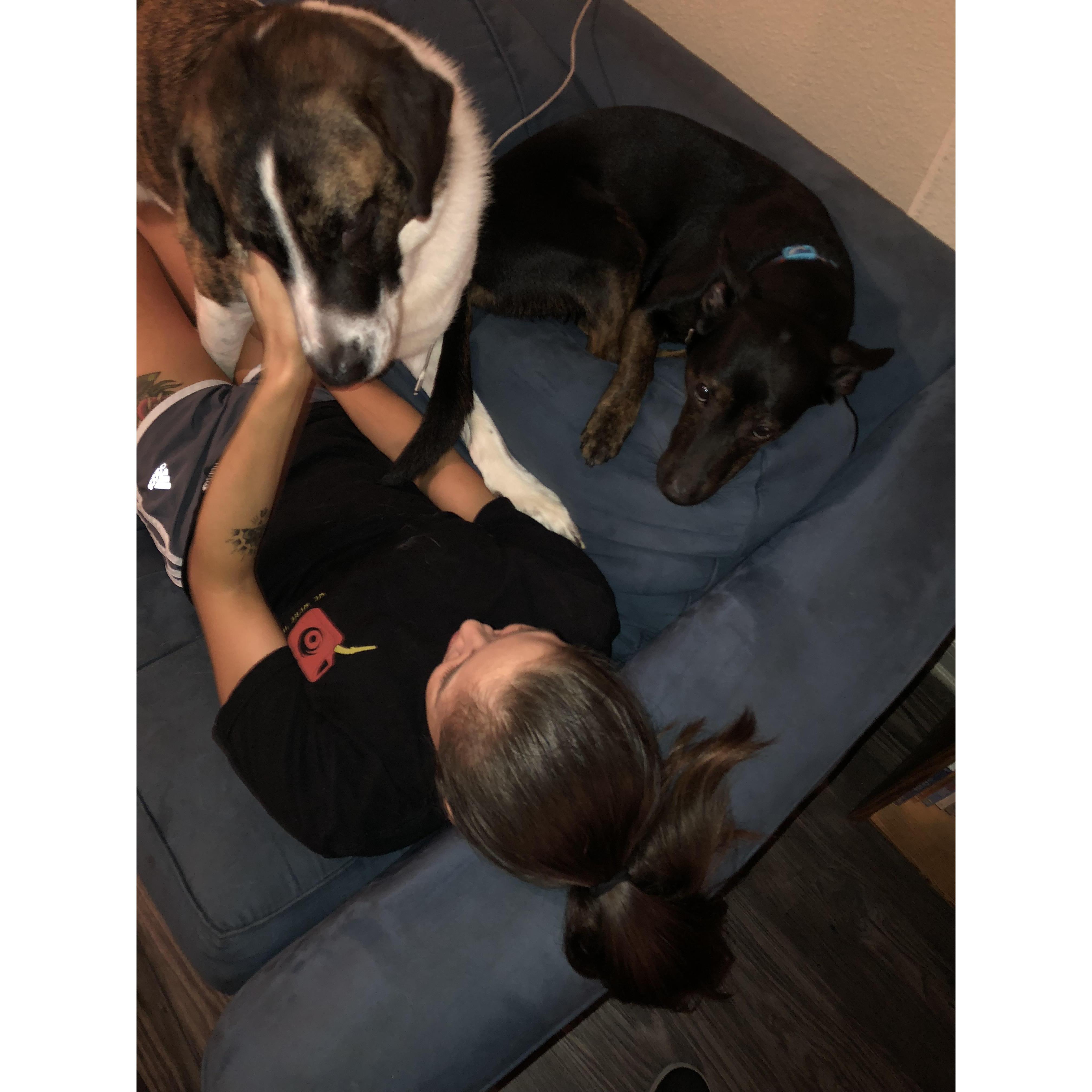 Family