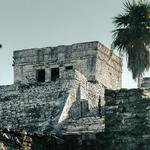 Tulum and Dolphin Interaction