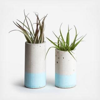2-Piece Cylinder Planter with Air Plant Set