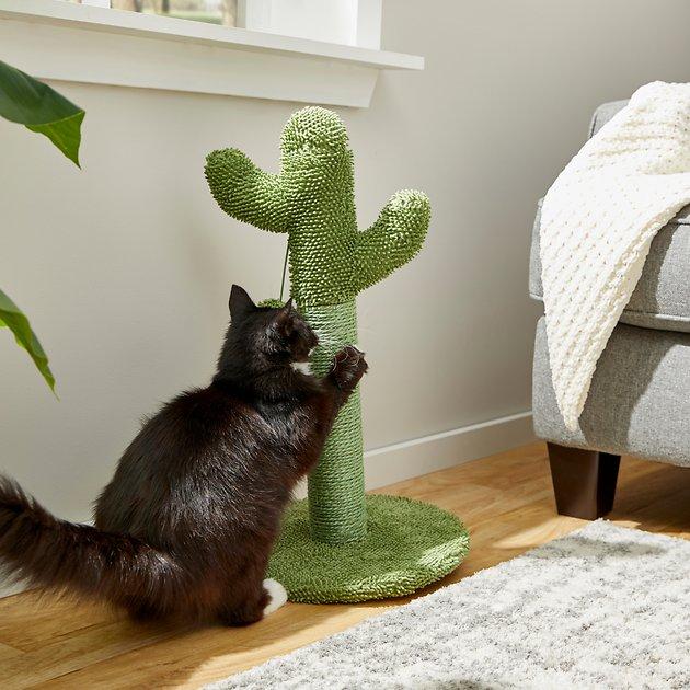 FRISCO Cactus Cat Scratching Post, 22-in - Chewy.com