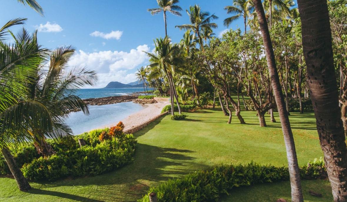 The Wedding Website of ℳ 𝒢 and 𝒮 ℱ