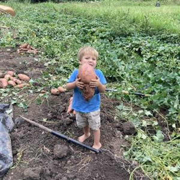 Homesteading Fund