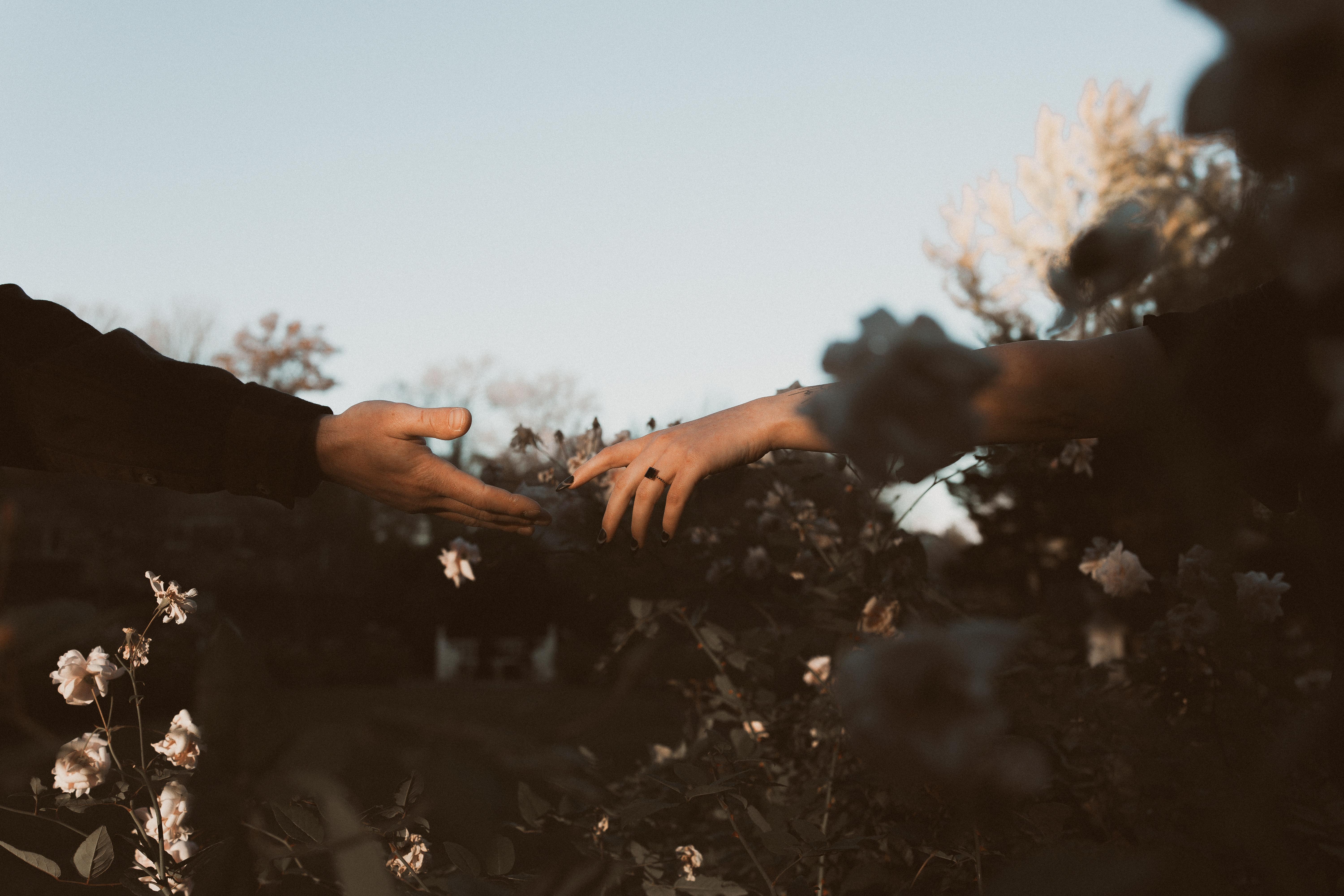 The Wedding Website of Darian Jones and Michael De Ieso