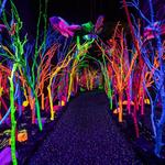 Meow Wolf (Santa Fe)