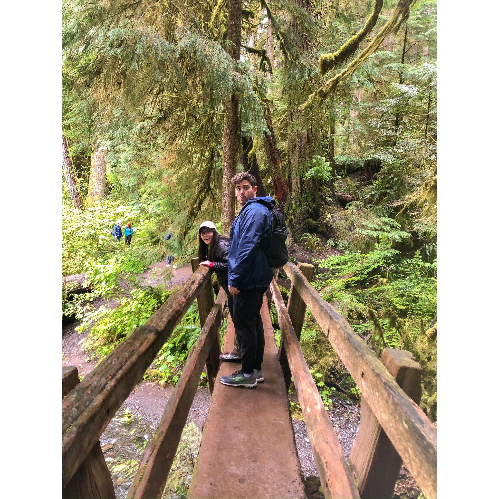 Olympic National Forest