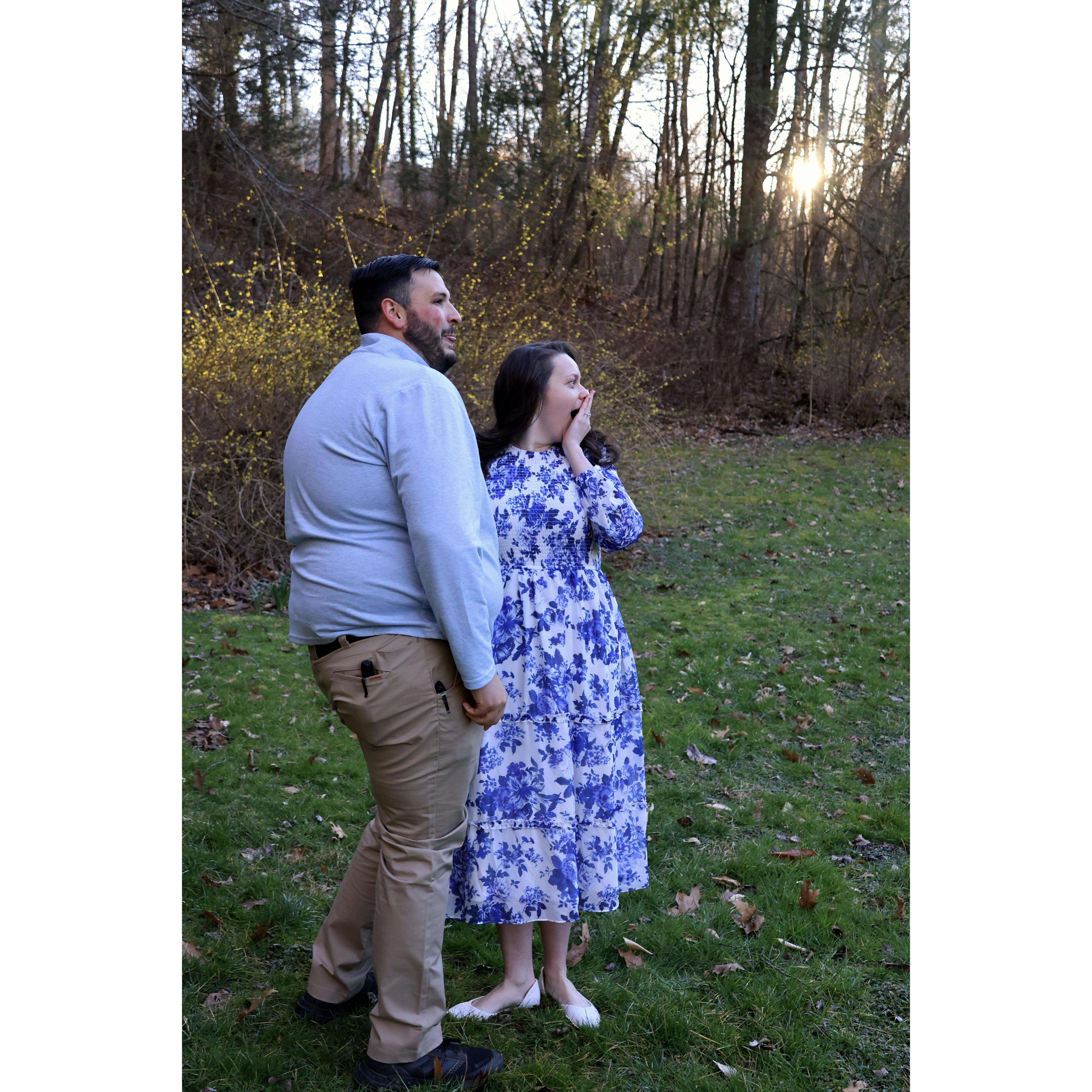 The Proposal