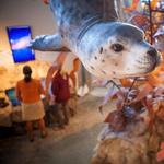 Marine Sanctuary Exploration Center