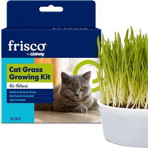 Chewy Frisco Natural Cat Grass Growing Kit