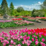 Minnesota Landscape Arboretum