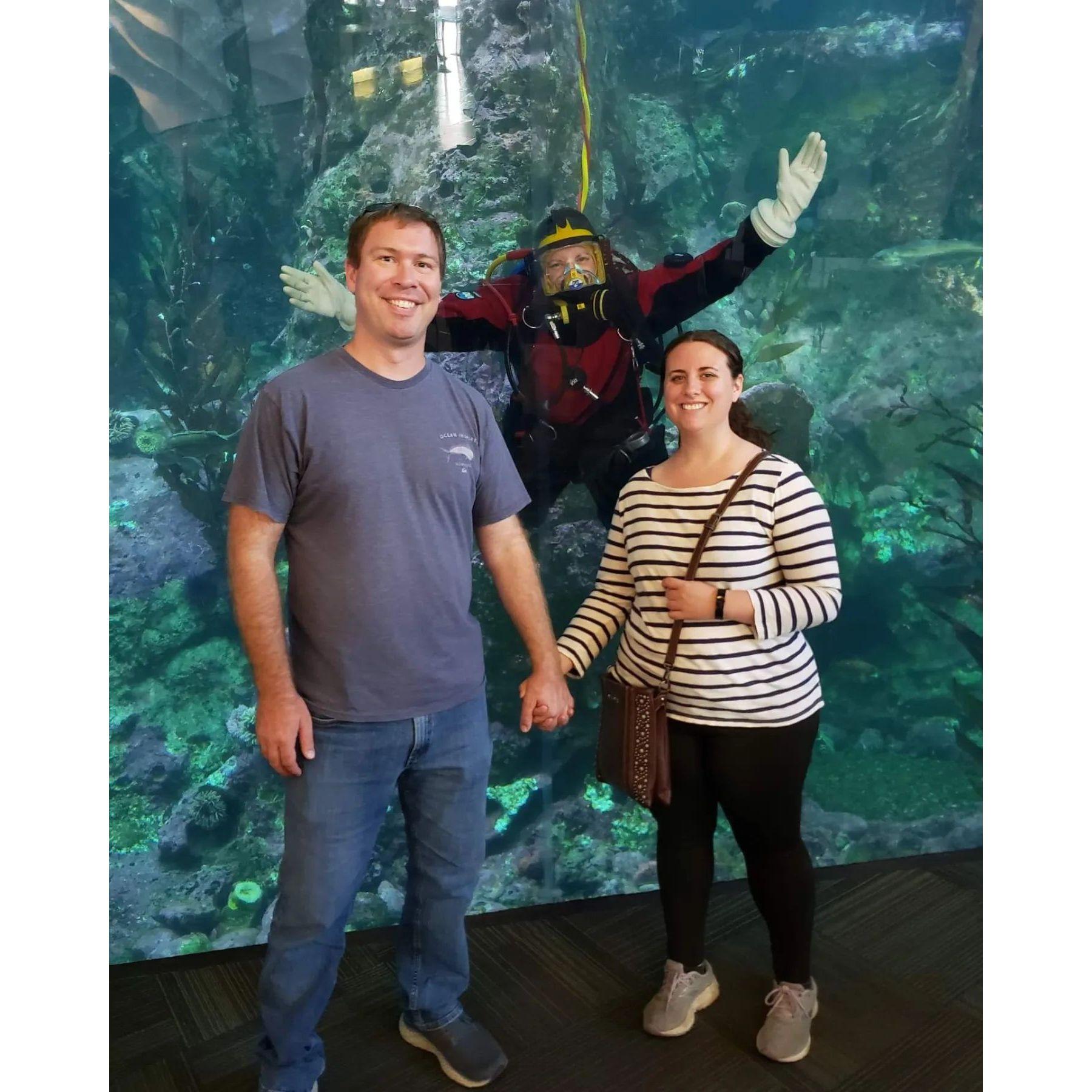 Seattle aquarium