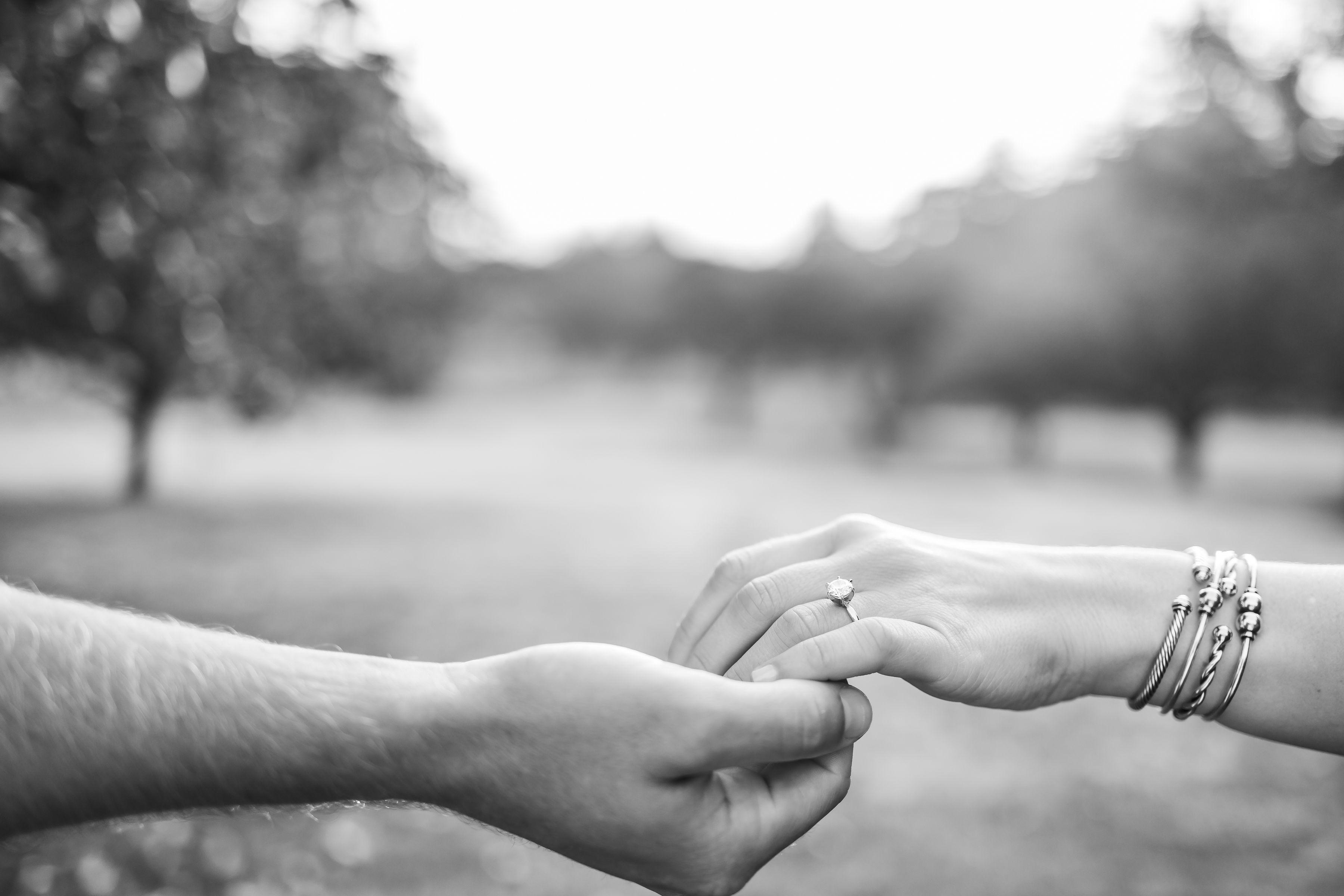 The Wedding Website of Rachael Rocco and Shaun Goggins