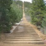 The Incline