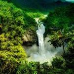 AMAZON REGION - ADVENTURE IN THE JUNGLE