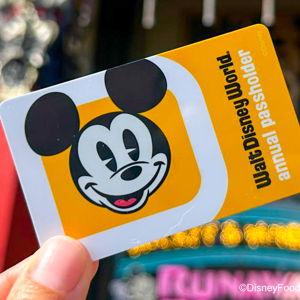 Disney Annual Passholder for Two fund