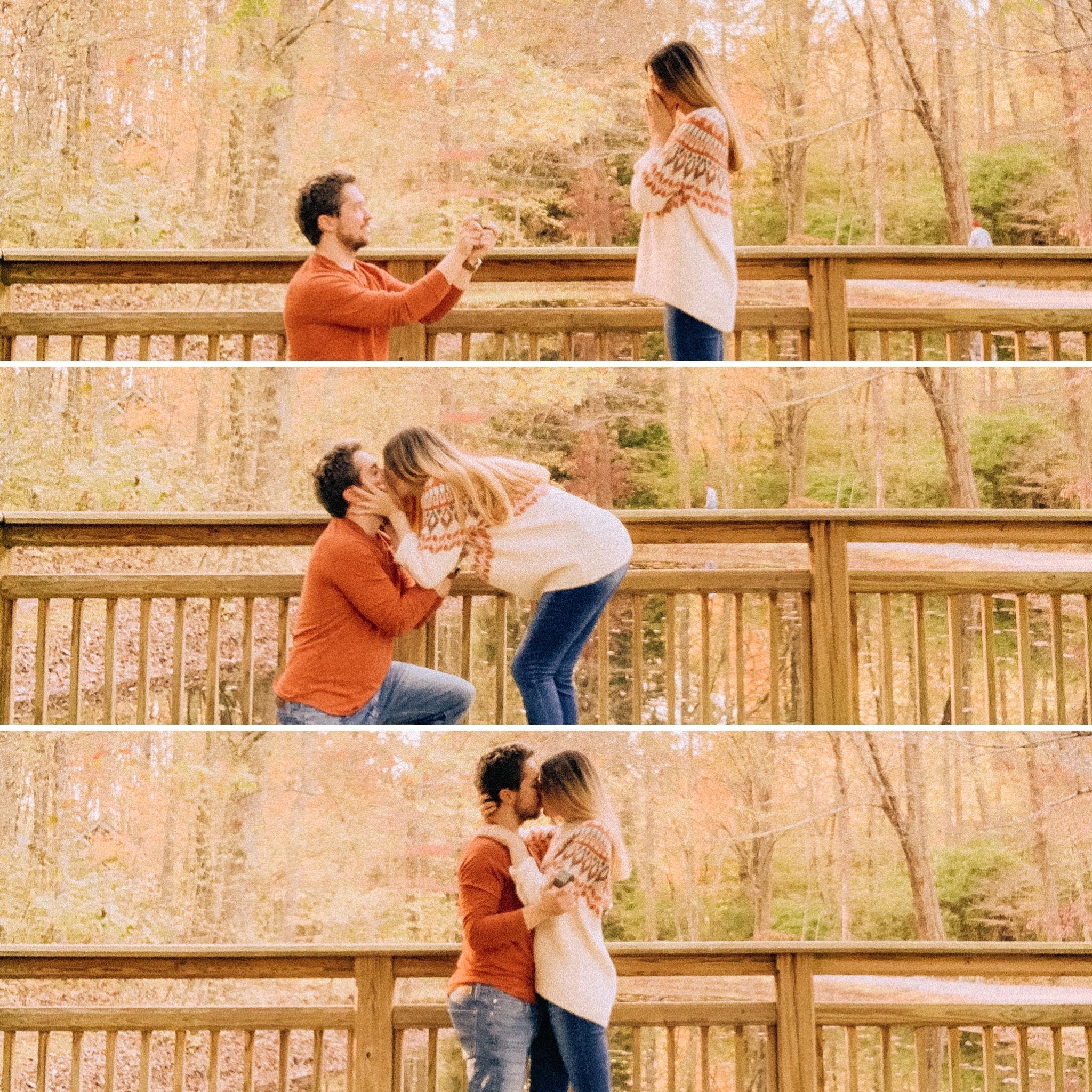 From the day Cody proposed on our favorite spot at the botanical garden.