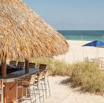 LoggerHead Sand Bar