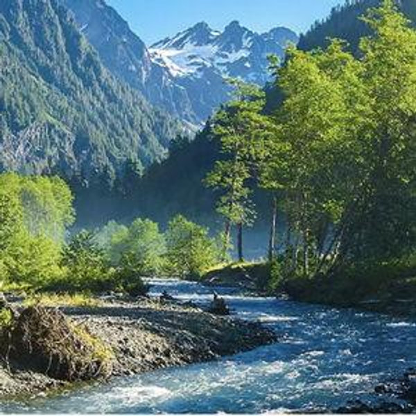 Honeymoon Fund! - Venmo (Washington State)