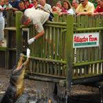 St. Augustine Alligator Farm Zoological Park