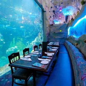 Dinner at the Denver Aquarium Restaurant