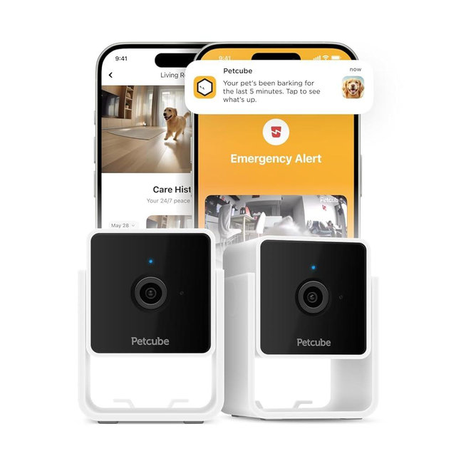 Petcube Cam Indoor Home Security Camera with 1080p HD Video, Two-Way Audio, Motion Detection, and Phone App, Night Vision Wi-Fi Camera for Apartment Security, Video Baby Monitor, Pet Camera (2pack)