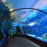 Omaha's Henry Doorly Zoo and Aquarium
