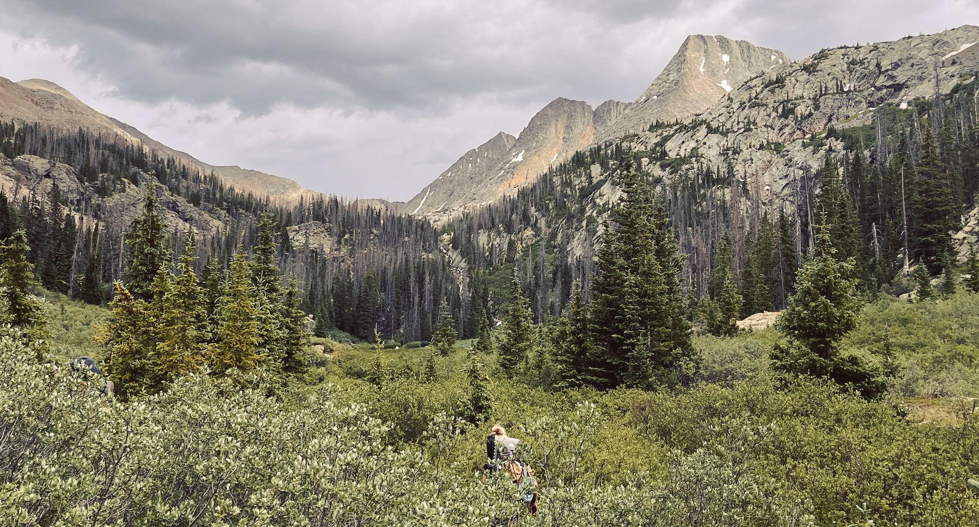 The Wedding Website of Becca Spear and Coleman Kane