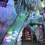 Meow Wolf
