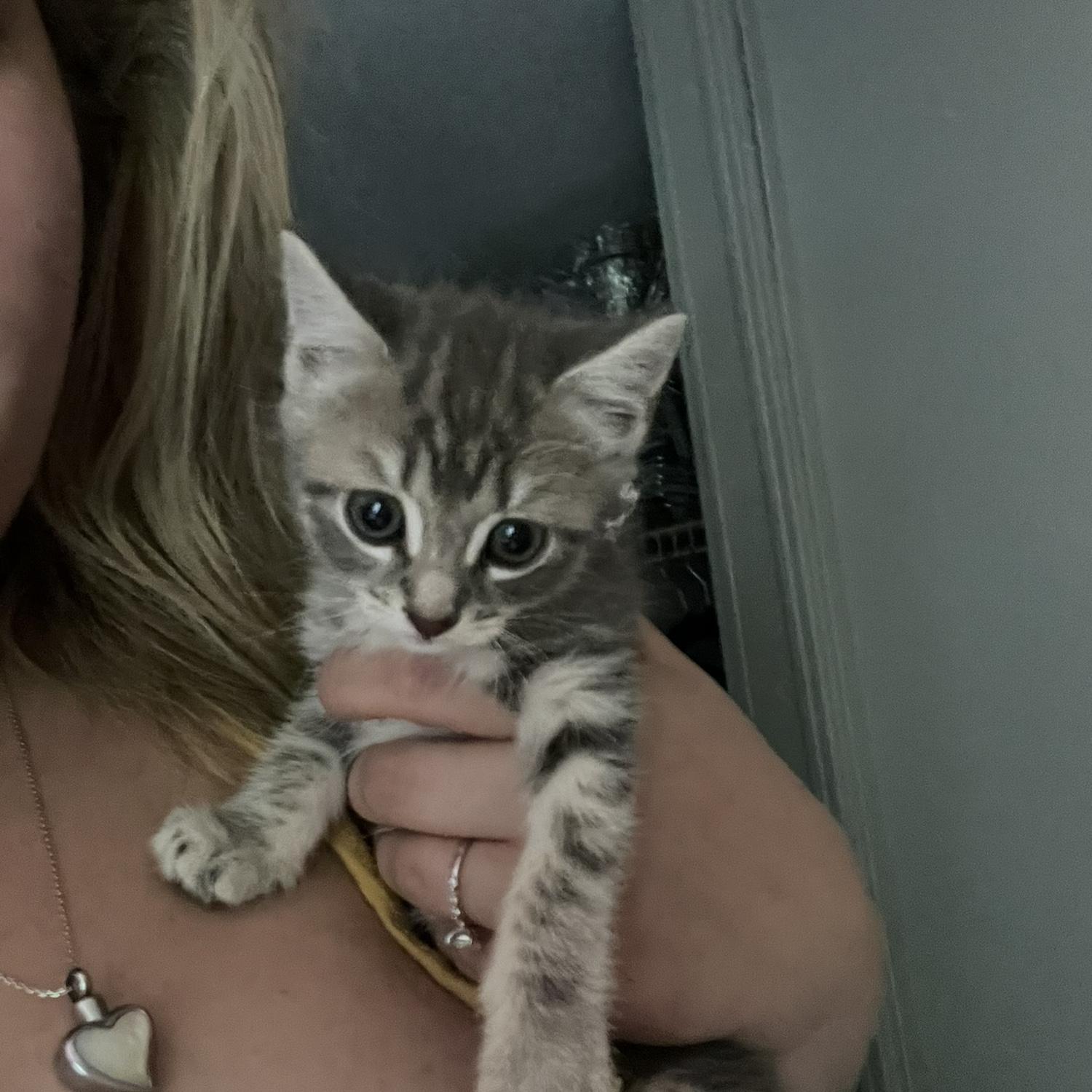 Welcoming home some new family members, meet Sookie!
