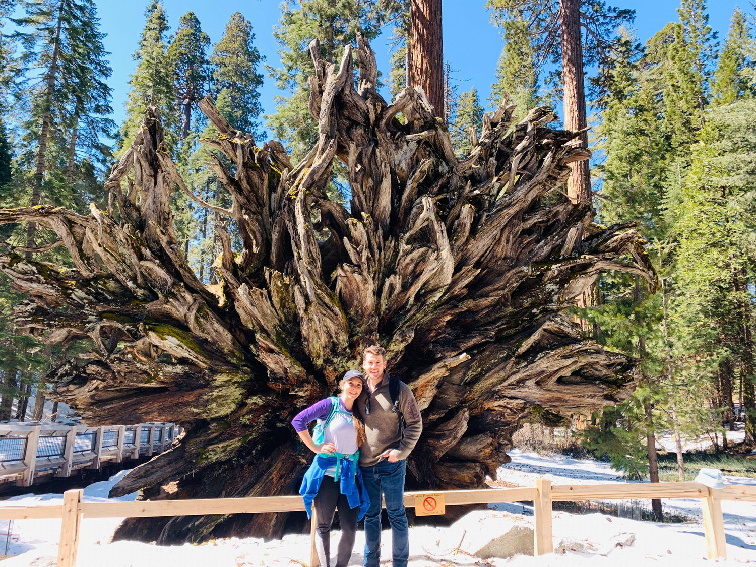 Mariposa Grove, CA