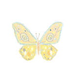 OdySea Aquarium / Butterfly Wonderland