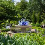 Atlanta Botanical Garden