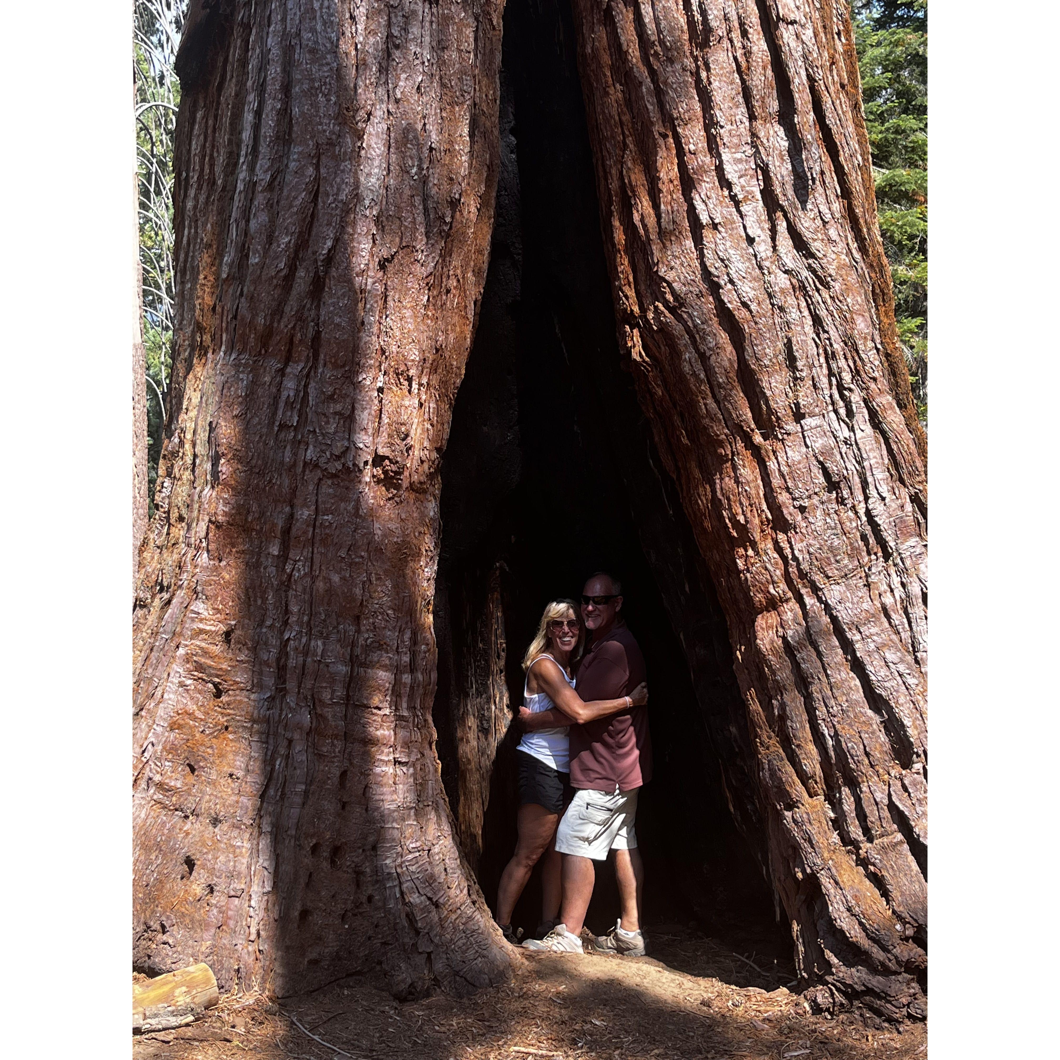 This is where Bob Proposed to Sarah