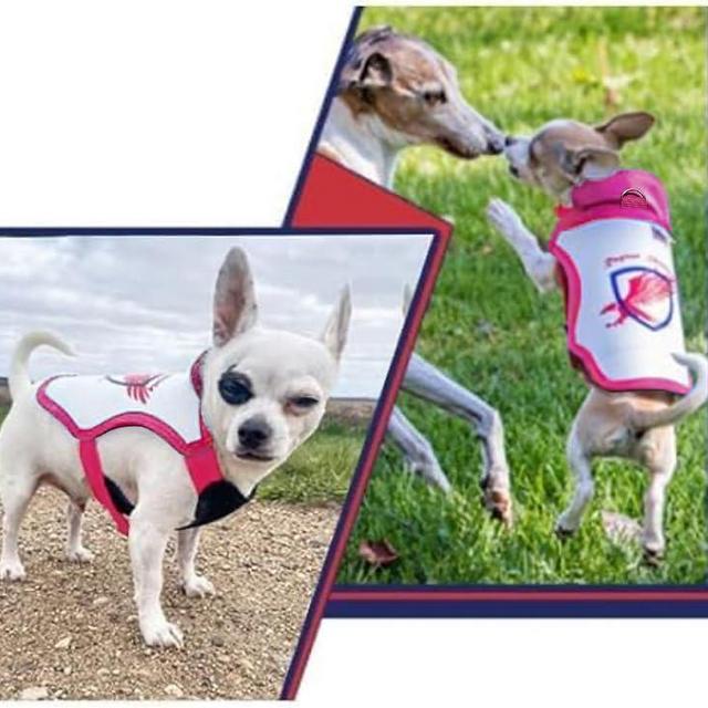 Raptor Shield Puncture Resistant Pet Vest for Small Dogs — Talon-Proof Protection Against Attacks by Coyotes, Hawks, Birds of Prey, Made in The USA, Four Sizes — Small, 4-6.5 lbs, Chest 10.5 to 13.5"