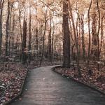 Hogback Ridge