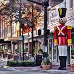 Downtown DeLand's Historic Garden District