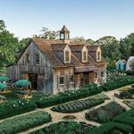 Beach Plum Farm