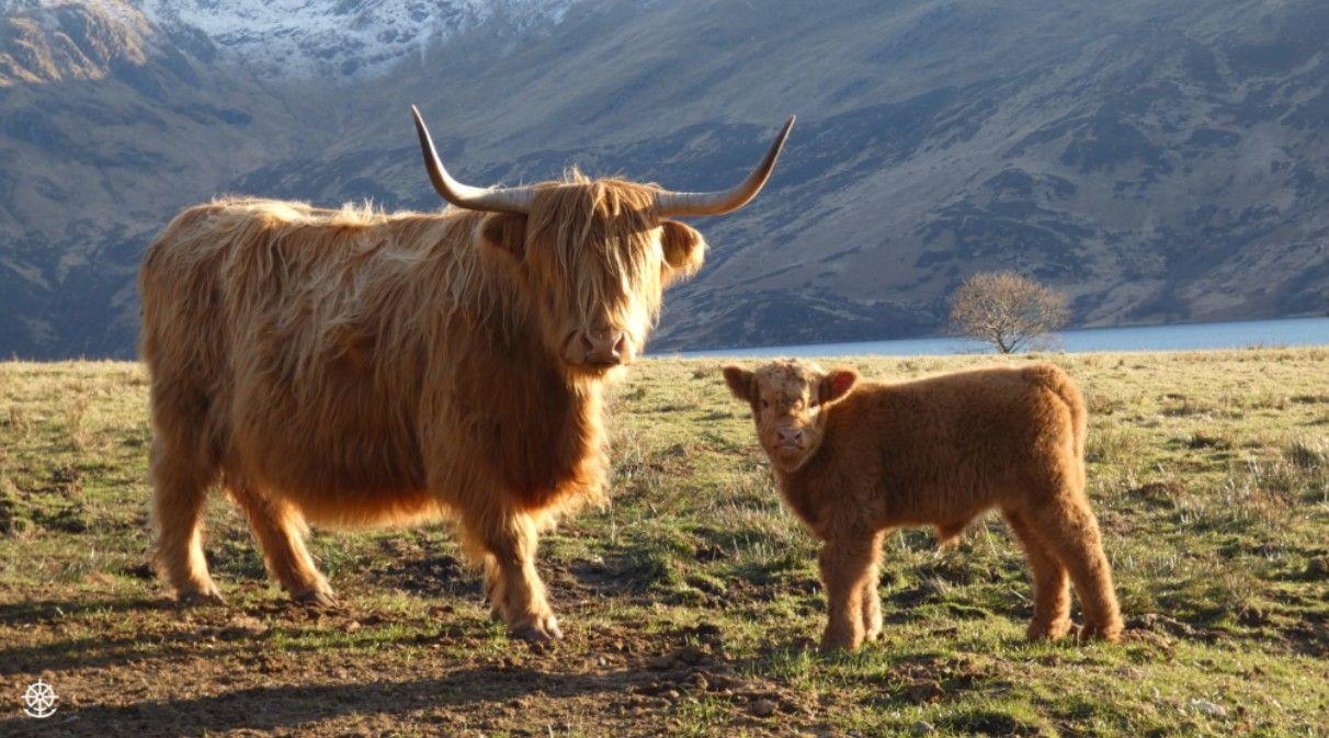 The Wedding Website of Dr. Paige Lynch and Robert Newton