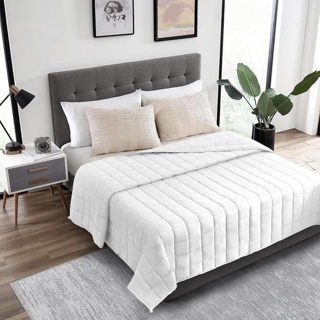 HomeSmart Products 40lbs Weighted Blanket Queen Size