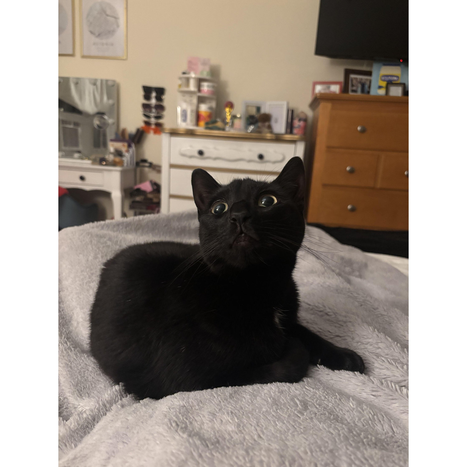 Elsie!