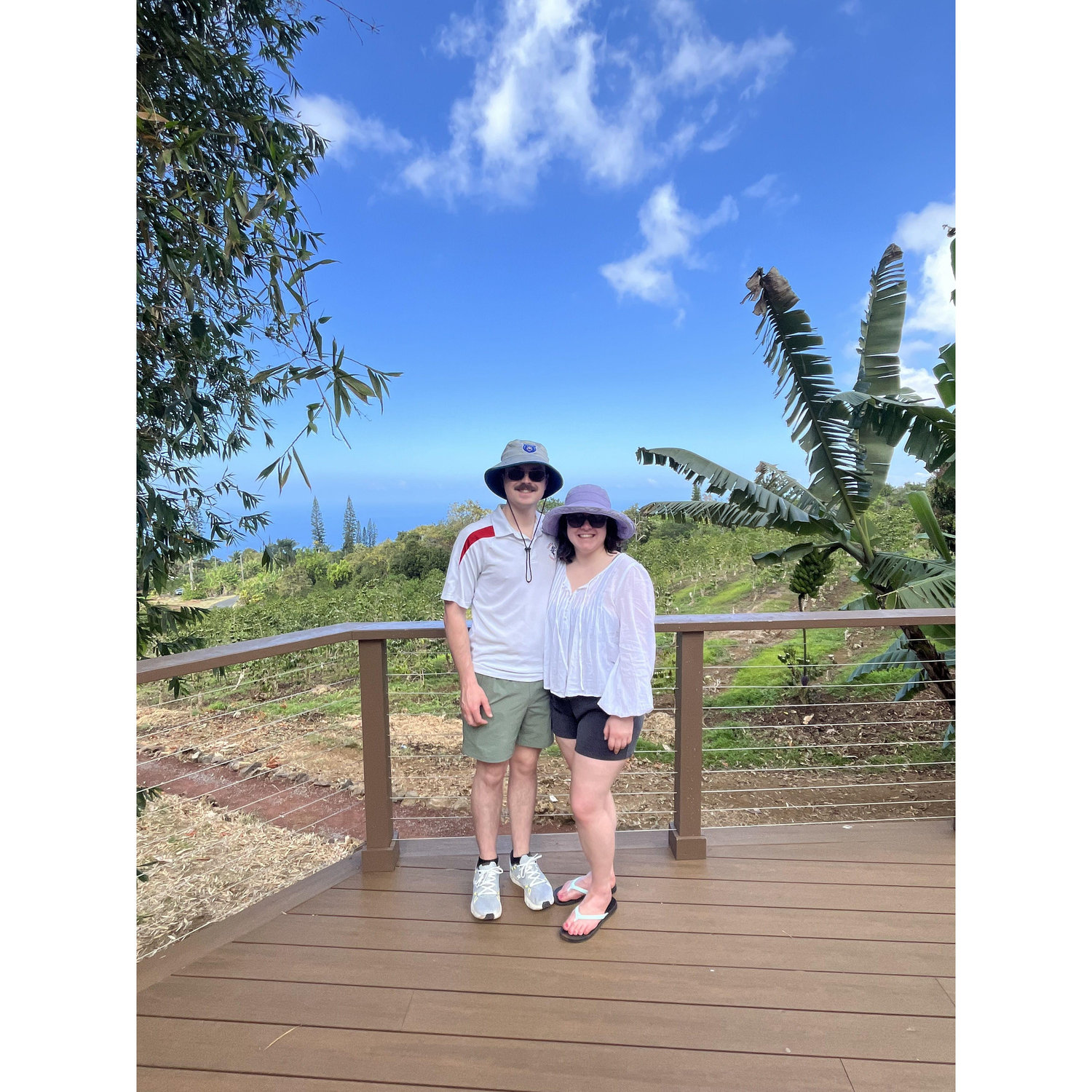 Hawaii - Coffee farm