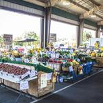 State Farmers Market