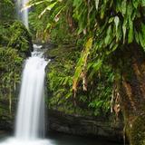 El Yunque