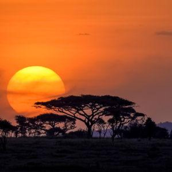 Our Tanzania Honeymoon