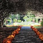 The Dallas Arboretum and Botanical Garden
