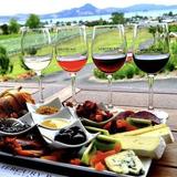 Niagara Wine Tour Guides