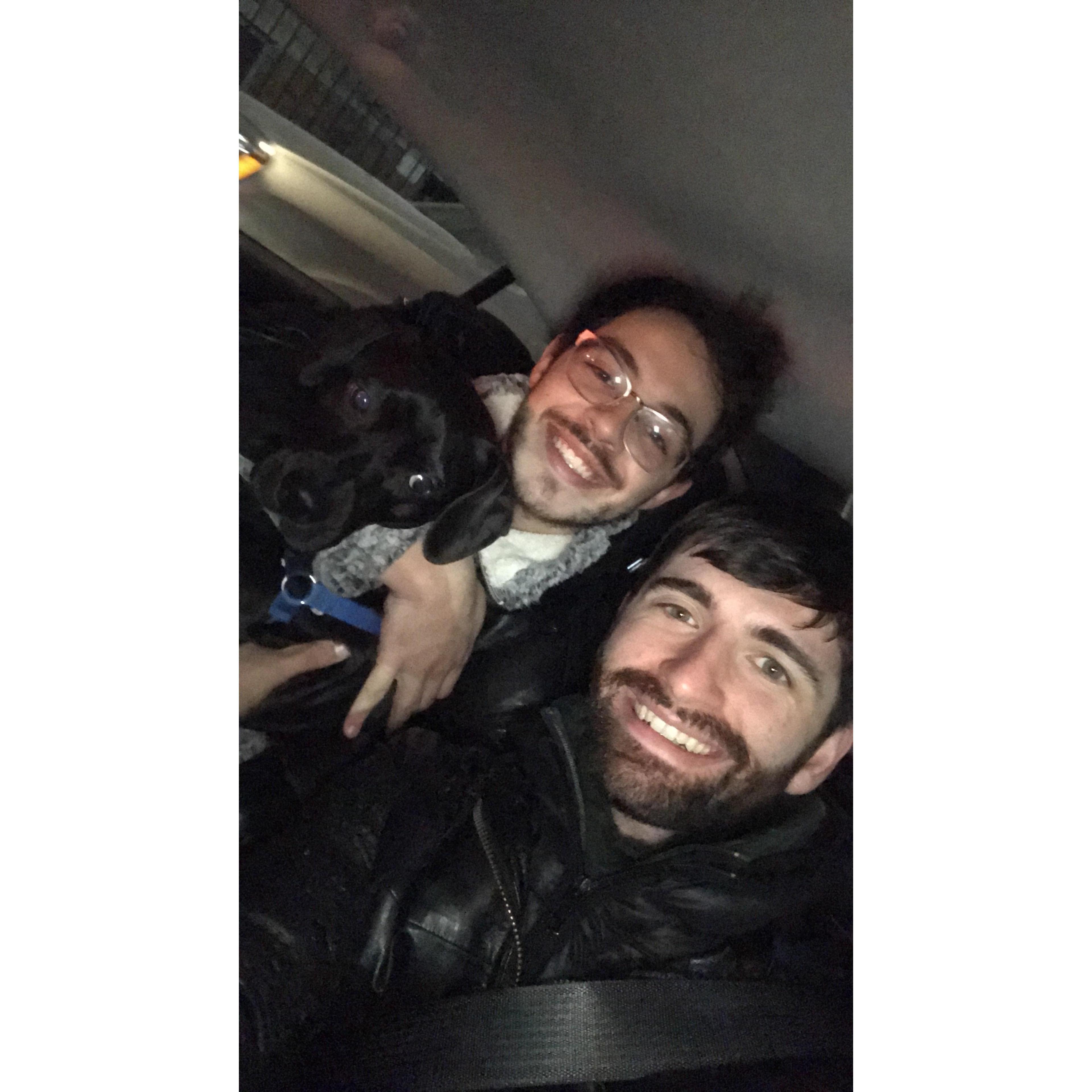 Not our dog. But we wish it were.