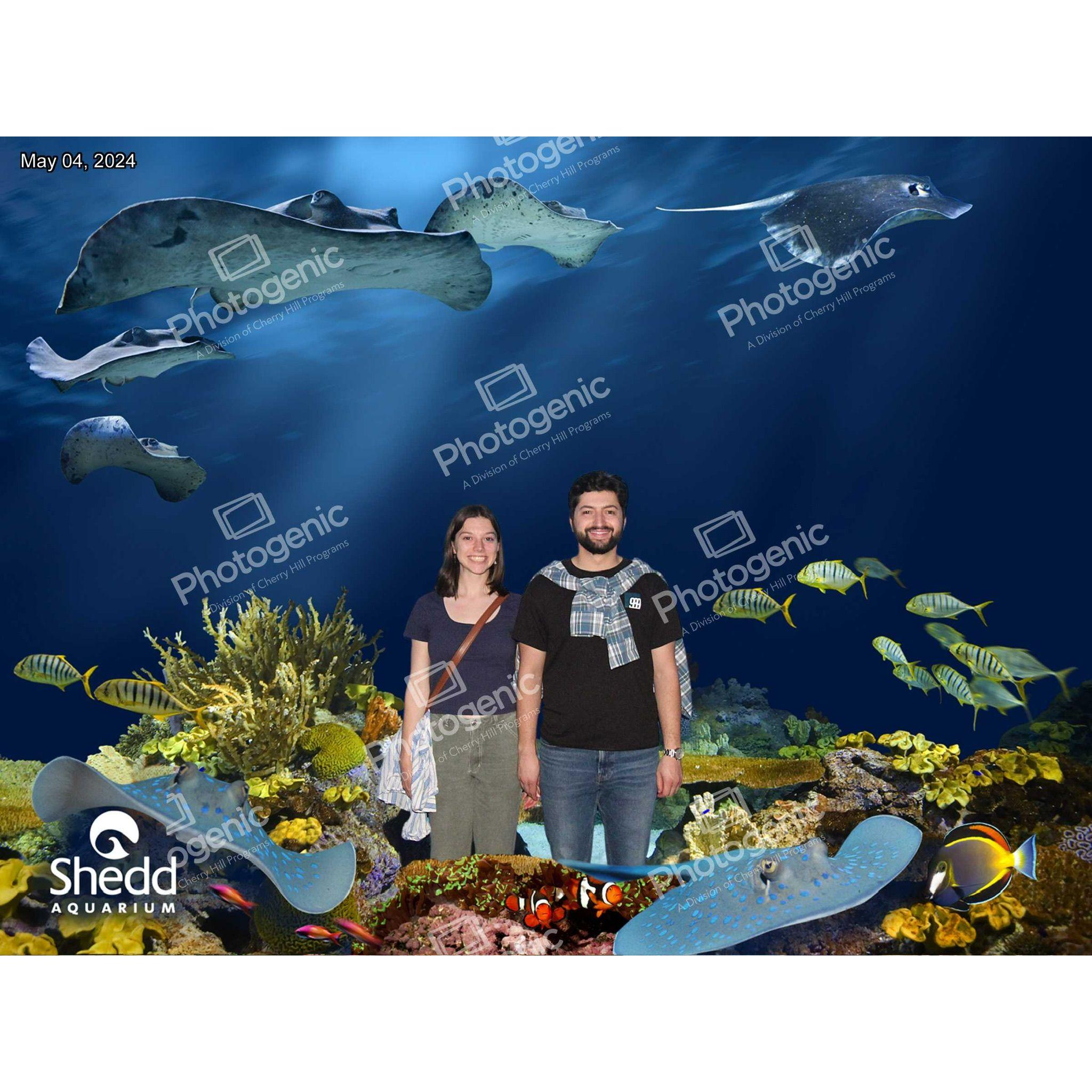 Shedd Aquarium!