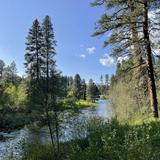 Head of the Metolius
