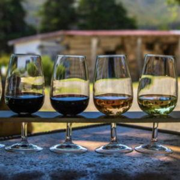 Finca Serena Mallorca Wine Tasting