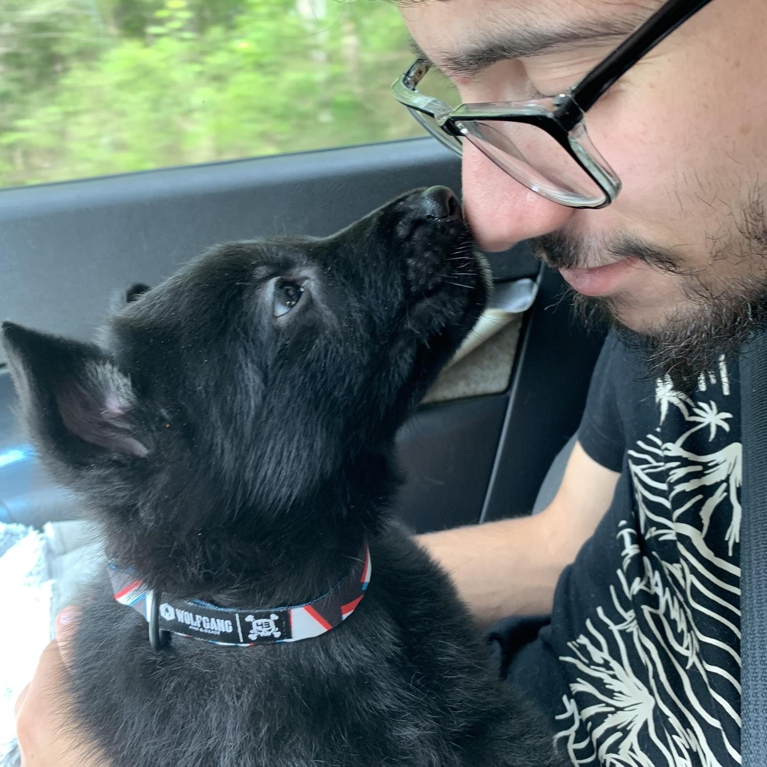Got our first dog together- Ace!